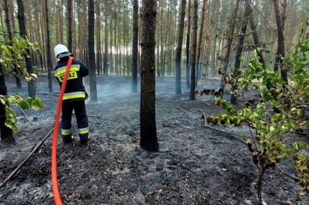 fot. OSP Osielsko/OSP Wtelno/ OSP Mąkowarsko