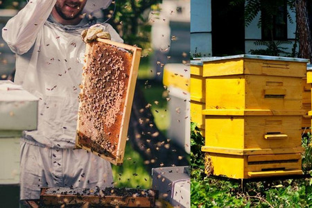 fot. Główny Inspektorat Jakości Handlowej Artykułów Rolno-Spożywczych